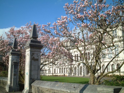 Cardiff University 2 image