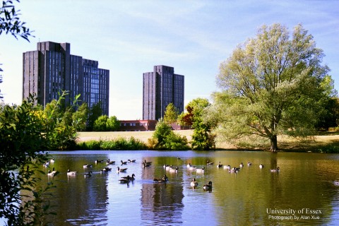 University of Essex 4 image
