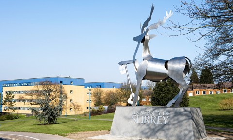 มหาวิทยาลัย Surrey 5 image